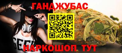 гашик Дубна