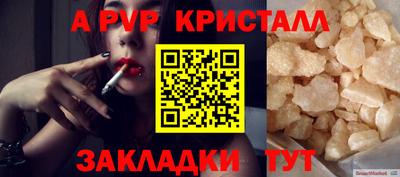 крисы Донской