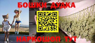гашик Дубна