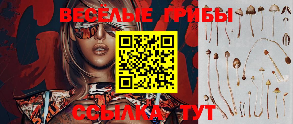 Галлюциногенные грибы Cubensis Лесозаводск